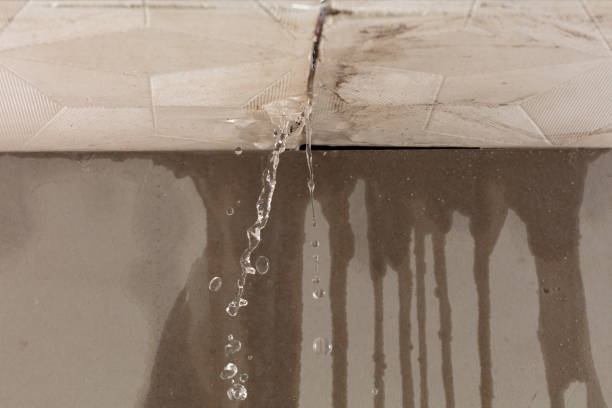 Professional Water Damage Repair technician working in Marshfield, MO